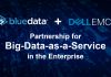 PARTENERIATUL DINTRE DELL EMC SI BLUEDATA
