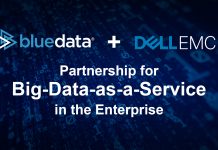 PARTENERIATUL DINTRE DELL EMC SI BLUEDATA