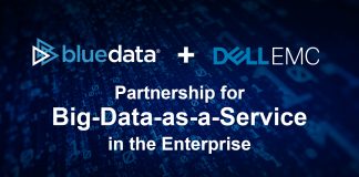 PARTENERIATUL DINTRE DELL EMC SI BLUEDATA