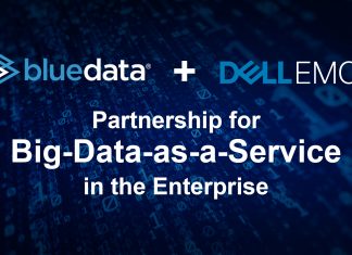 PARTENERIATUL DINTRE DELL EMC SI BLUEDATA